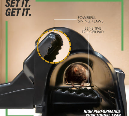 Product Image 2 - TRATPER Rat and Chipmu