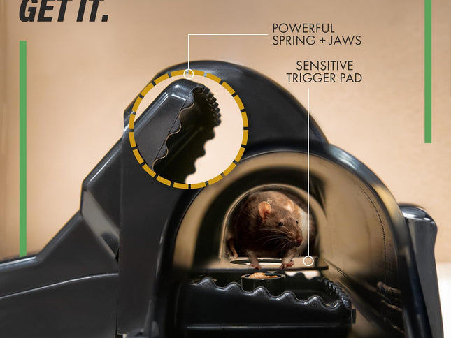 Product Image 2 - TRATPER Rat and Chipmu