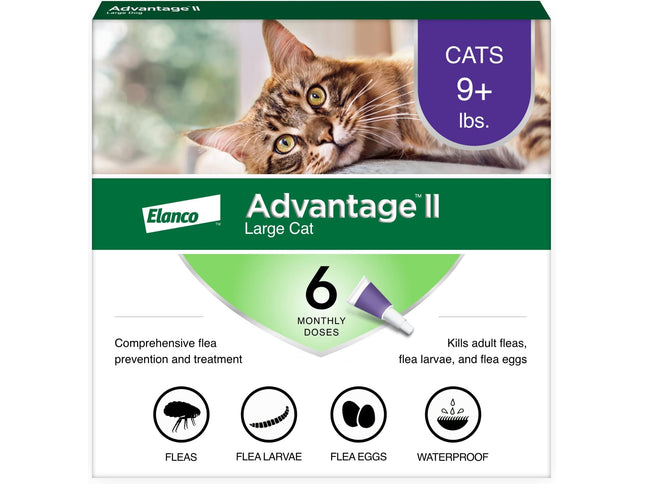 Product Image 1 - Advantage II Large Cat