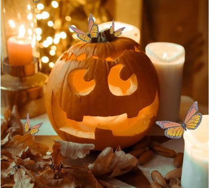 Product Image 2 - Yzurbu 24pcs Monarch B