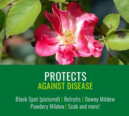 Product Image 4 - NATRIA Neem Oil Spray 