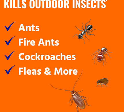 Product Image 3 - TERRO Ant Killer Plus 