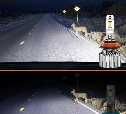 Product Image 2 - SEALIGHT H11/H8/H9 Bul