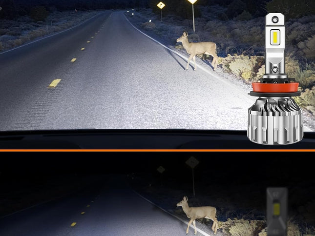 Product Image 2 - SEALIGHT H11/H8/H9 Bul