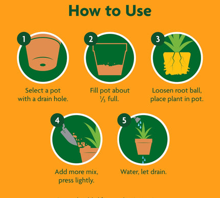 Product Image 7 - MiracleGro Cactus Palm