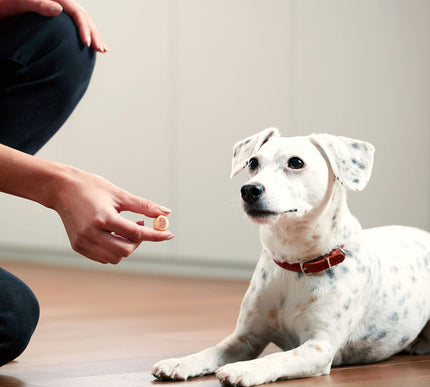Product Image 6 - Milk-Bone MaroSnacks S