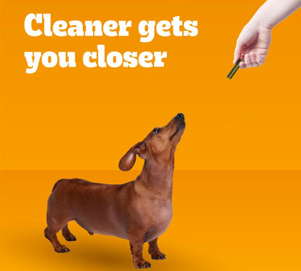 Product Image 5 - Pedigree Dentastix Sma