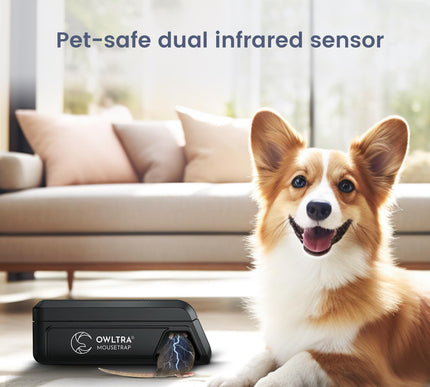 Product Image 3 - OWLTRA OW2 Indoor Elec