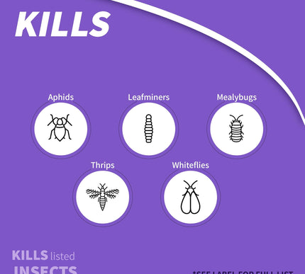 Product Image 4 - Bonide Systemic Housep