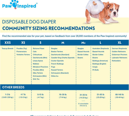 Product Image 2 - Paw Inspired 32ct Disp