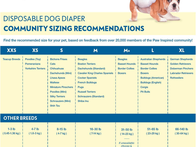 Product Image 2 - Paw Inspired 32ct Disp