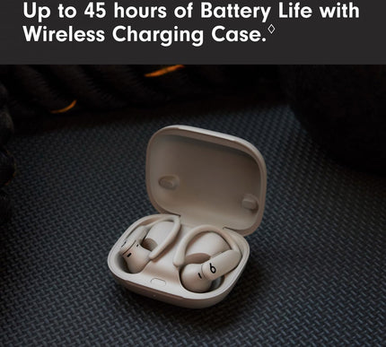 Product Image 8 - Beats Powerbeats Pro 2