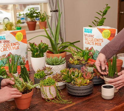 Product Image 2 - Back to the Roots 100 