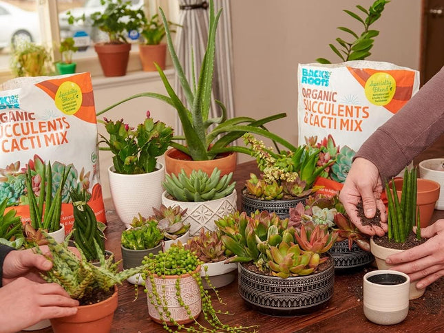 Product Image 2 - Back to the Roots 100 