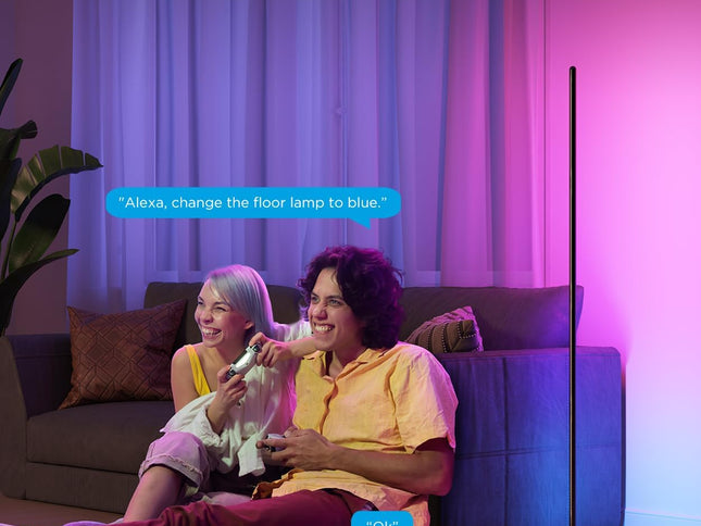 Product Image 2 - Govee RGBIC Floor Lamp