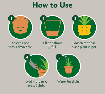 Product Image 7 - MiracleGro Indoor Pott