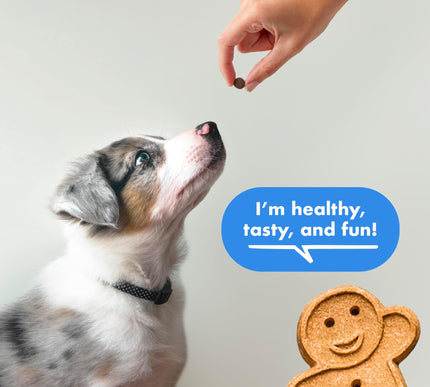 Product Image 4 - Buddy Biscuits Trainer