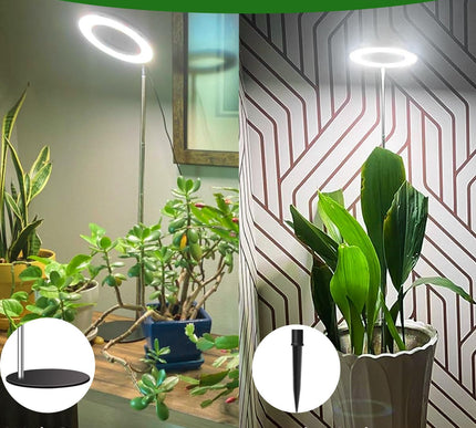 Product Image 3 - Aokrean Grow Lights fo