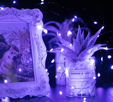 Product Image 4 - Halloween Purple Fairy