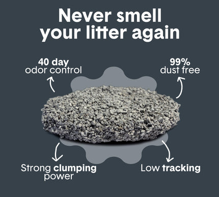 Product Image 2 - Boxie Probiotic Cat Li