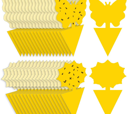 Product Image 1 - Fruit Fly Traps Fungus