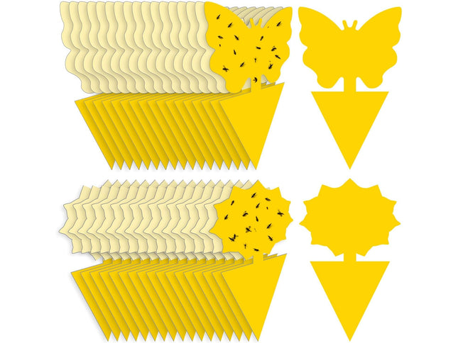 Product Image 1 - Fruit Fly Traps Fungus