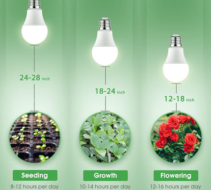 Product Image 7 - Briignite Grow Light B