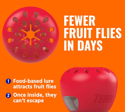 Product Image 5 - TERRO Fruit Fly Traps 