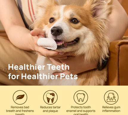 Product Image 2 - HICC PET Teeth Cleanin