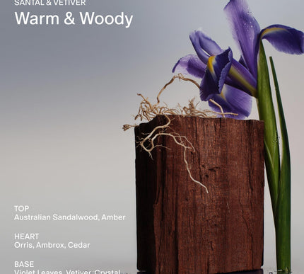 Product Image 4 - SALT STONE Aluminum Fr