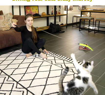 Product Image 7 - Cat Feather Toy, Retra