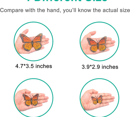 Product Image 5 - Yzurbu 24pcs Monarch B
