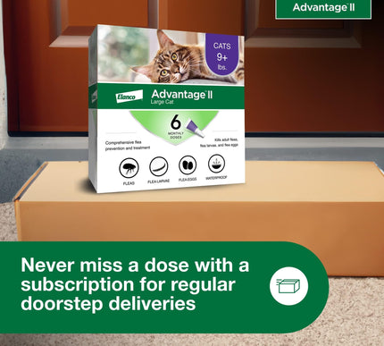 Product Image 7 - Advantage II Large Cat