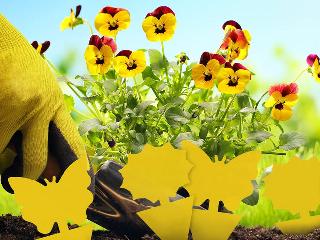 Product Image 2 - Landisun Fruit Fly Tra