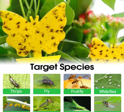 Product Image 6 - Cleanuper 58 Pcs Flyin