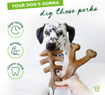 Product Image 3 - Benebone 2-pack Fishbo