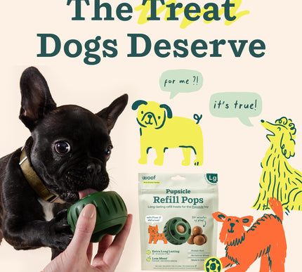 Product Image 7 - WOOF Pupsicle Refill P