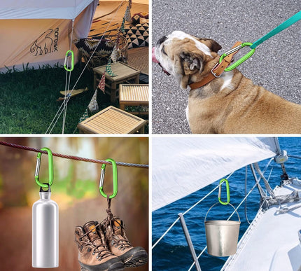 Product Image 5 - 6PCS Carabiner Caribea