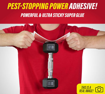 Product Image 3 - Catchmaster Mouse Inse