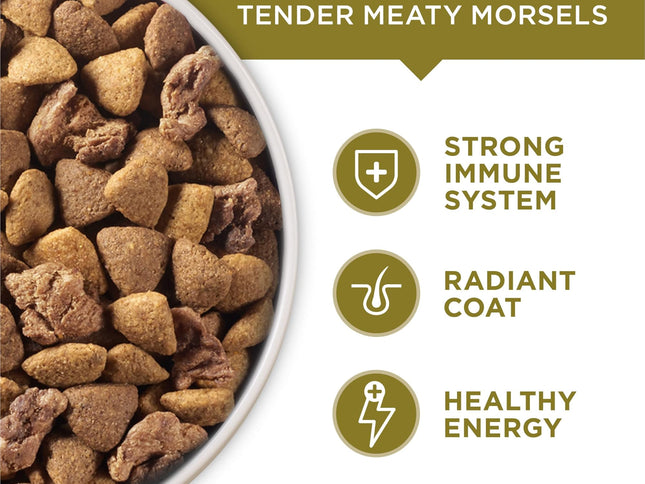 Product Image 2 - Purina ONE Dry Dog Foo