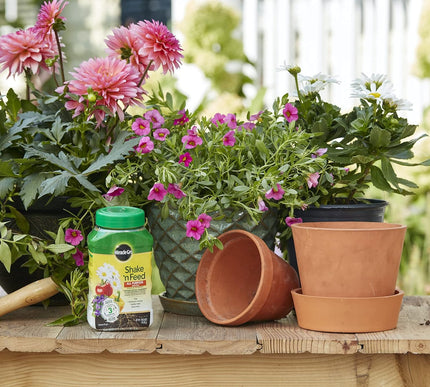 Product Image 5 - MiracleGro Shake N Fee