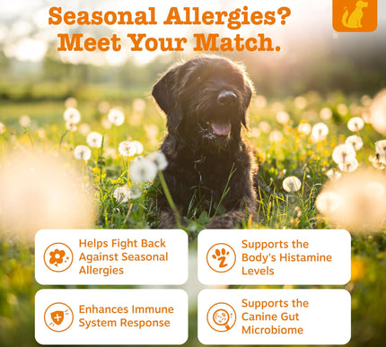 Product Image 2 - Zesty Paws Dog Allergy