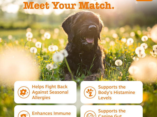 Product Image 2 - Zesty Paws Dog Allergy