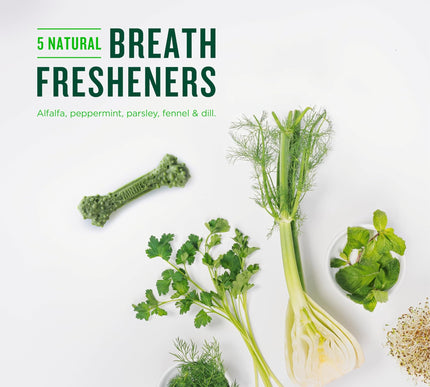 Product Image 6 - Minties Dental Chews f