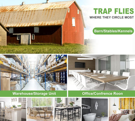 Product Image 7 - LFSYS 50 Pack Window F