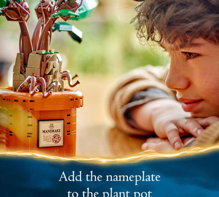 Product Image 2 - LEGO Harry Potter Mand