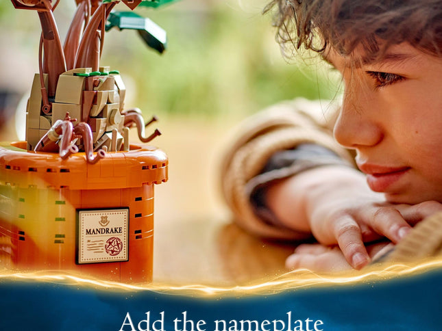 Product Image 2 - LEGO Harry Potter Mand