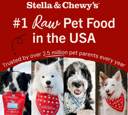 Product Image 7 - Stella & Chewy's Freez