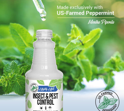 Product Image 3 - Mighty Mint Peppermint