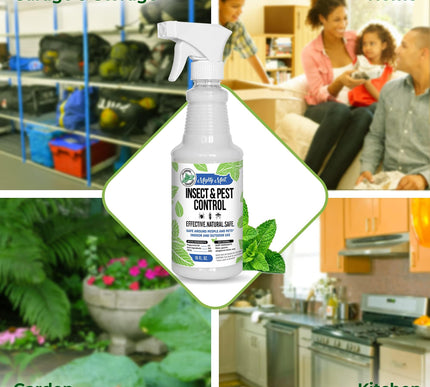 Product Image 6 - Mighty Mint Peppermint